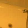 Фотографии отеля Oh So Indie House Hostel