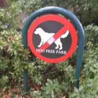 Фотографии отеля Eesti Аirlines Хостел