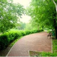 Фотографии отеля Апартаменты Золотое Колесо