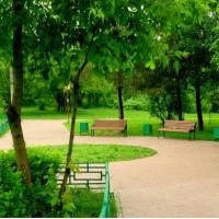 Фотографии отеля Апартаменты Золотое Колесо