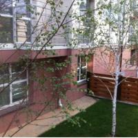 Фотографии отеля Гостиница Базилик Крокус