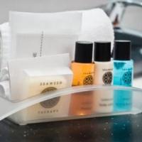 Фотографии отеля Холидэй Инн Виноградово