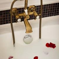 Фотографии отеля Золотой сад