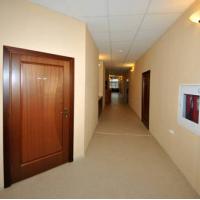 Фотографии отеля Ananas Mini Hotel