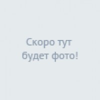 Фотографии отеля TNT Hostel Moscow